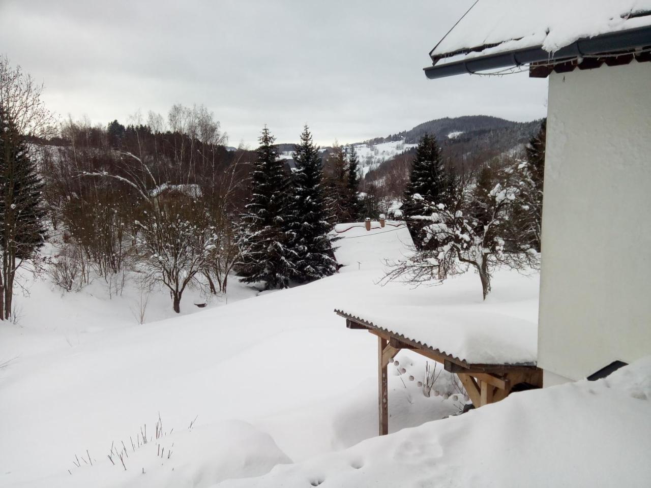 Apartamento Frantiskov 17 Rokytnice nad Jizerou Exterior foto