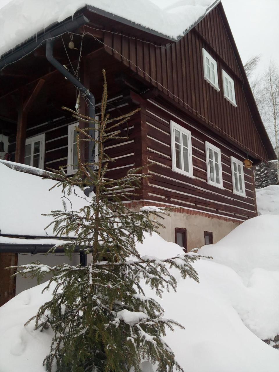 Apartamento Frantiskov 17 Rokytnice nad Jizerou Exterior foto